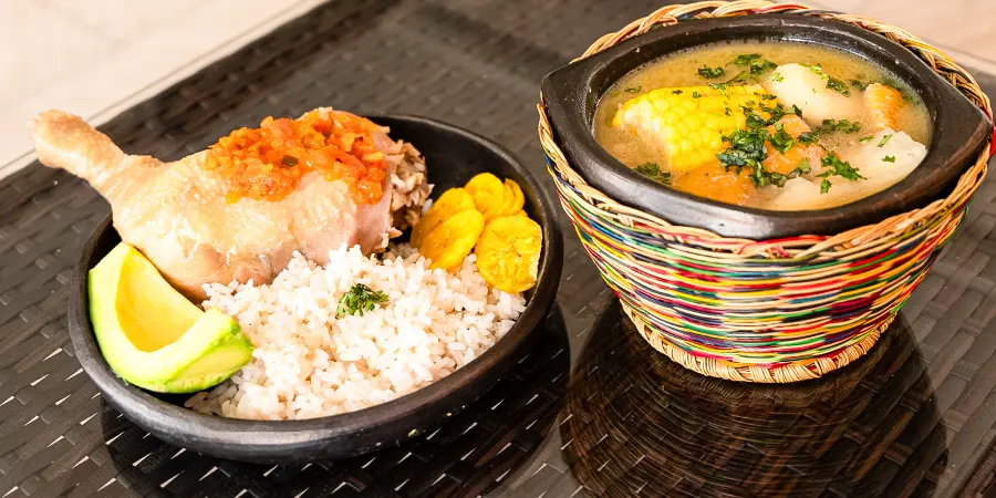 Gallina De La Granja