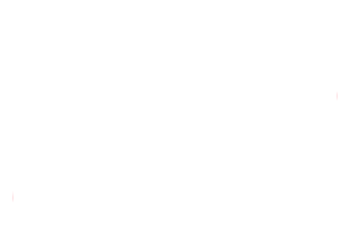 Don Pollo