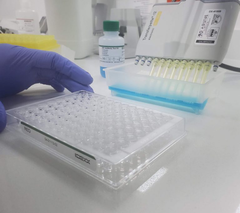 Inmunología Serología