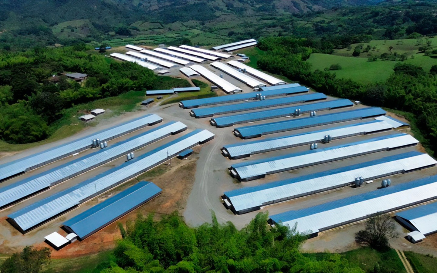 Revista Diciembre 2025